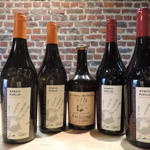 Jurassique - Domaine de la Renardière - jean-michel-laurence-et-leo-petit