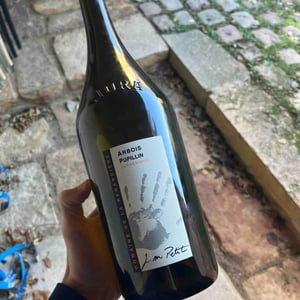 Jurassique - Domaine de la Renardière - jean-michel-laurence-et-leo-petit