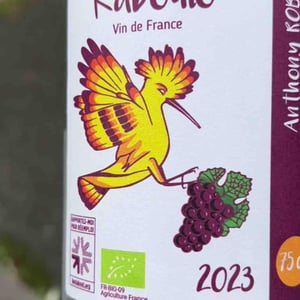 Kaboulo - Domaine du Clos Fremur - anthony-robin