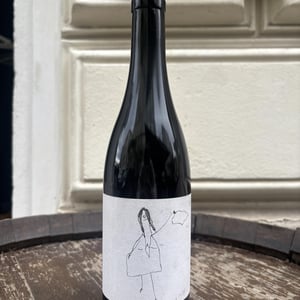 Ke(c)k (Von Cathi Stabentheiner-Andert ) - Andert Wein - michael-erich-andert-wn -2020