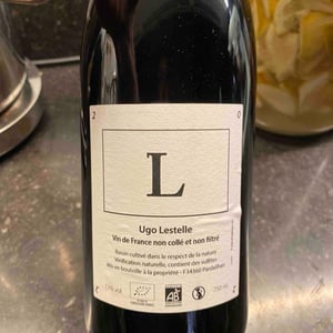 L - Ugo Lestelle - ugo-lestelle