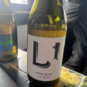 L1 - Azienda Agricola Davide Spillare - Davide Spillare