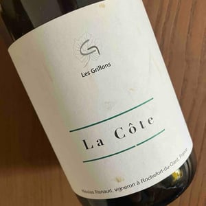 La côte - Clos des Grillons - nicolas-renaud -2023