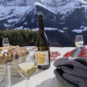 La Femme Soleil - Clos du Rouge Gorge - cyril-fhal