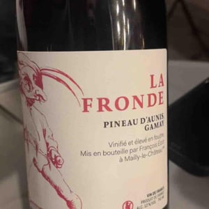 La fronde - François Ecot - francois-ecot -2024