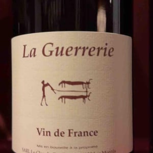 La Guerrerie - Clos du Tue-Bœuf - zoe-louise-thierry-puzelat