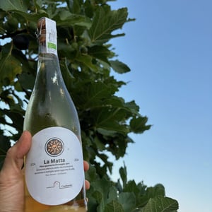 La Matta - Azienda Agricola Casebianche - elisabetta-iurio-pasquale-mitrano