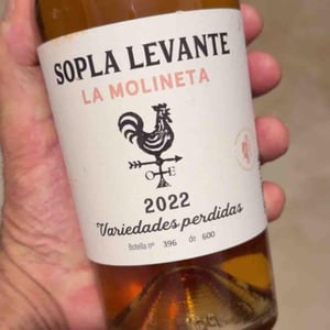 La Molineta - Sopla Levante - Pepe Rodríguez de Vera, Hilarión Pedauyé, Álvaro Ruiz & Alberto Soriano -2022