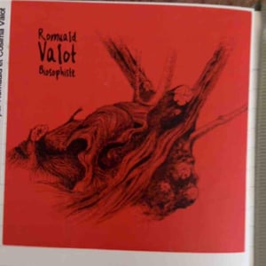 La Mulassa o La Barraca De L’Avi - Celler La Salada - toni-carbo -2020