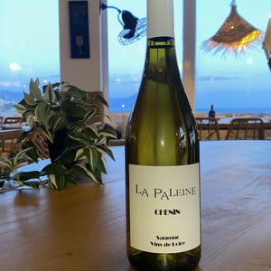 La Paleine Chenin - Domaine De La Paleine - jean-louis-bernet-ex-laurence-et-marc-vincent