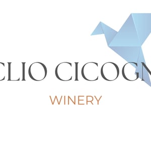 LA PAPESSA NERA - Clio Cicogni - clio-cicogni --