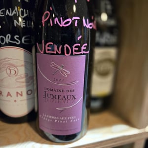 La Pierre aux Fées - Domaine des Jumeaux - maryline-jean-marc-tard