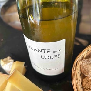 La Plante Aux Loups - Christian Venier - Christian Venier