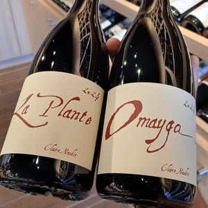 La Plante - Domaine Henri Naudin-Ferrand - claire-naudin