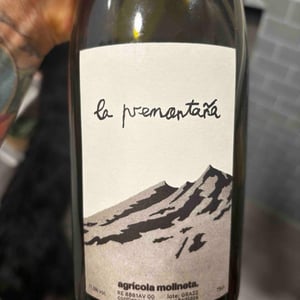 La premontaña - Agrícola Molineta - arturo-romero-figueroa -2022