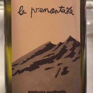 La premontaña - Sierra de Gredos - agricola-mollneta -2022