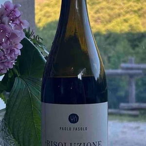 La Risoluzione - Paolo Fasolo - alberto-buratti -2020