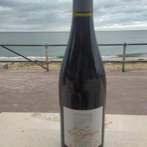 La Sagesse - Domaine Gramenon - michele-aubery-laurent-maxime-francois-laurent