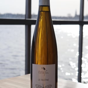 La Silène - Domaine Clé de Sol - jean-simon-baltenweck-yannick-mignot