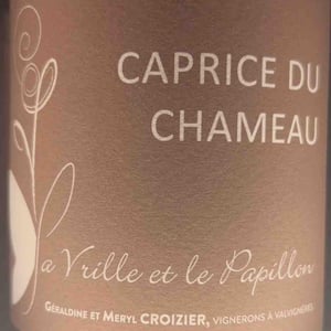 La Tribu - La Vrille et le Papillon - geraldine-meryl-croizier