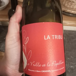 La Tribu - La Vrille et le Papillon - geraldine-meryl-croizier