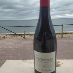 La Truffière (Rouge) - Domaine Danjou-Banessy - benoit-sebastien-danjou