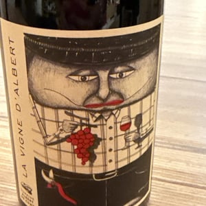 La Vigne d'Albert - Château Tour des Gendres - guillaume-de-conti