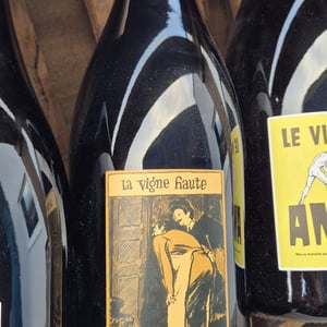 La Vigne Haute - Mas Coutelou - jean-francois-coutelou