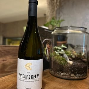 La Vivi Dora - Finca Parera - ruben-parera-renau