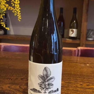 L'Aigine Blanc - Domaine de l’Or Vert - clement-jeannoulot-aurelien-le-tellier