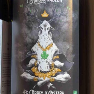 L'Ambassadeur - Les Terres d'Ostara - marine-bonnard-et-axel-harrmann