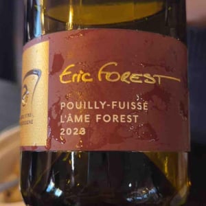 L’ame forest - Vergisson - eric-forest -2023