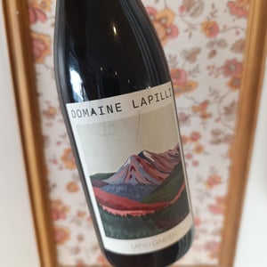 Lapilli Garden - Domaine Lapilli - elsa-provenzale-geraud-dubuis