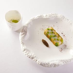 Le Silure De La Pêche Du Rhin Filet Fumé - 5 Terres Hôtel & Spa - 954840