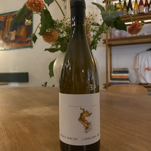 Laranjnha - António Madeira - antonio-madeira