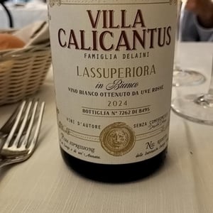 LASSUPERIORA in bianco - Villa Calicantus - daniele-e-chiara-delaini -2024