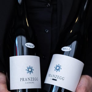 Laurenc - Pranzegg - marion-martin-gojer -2017