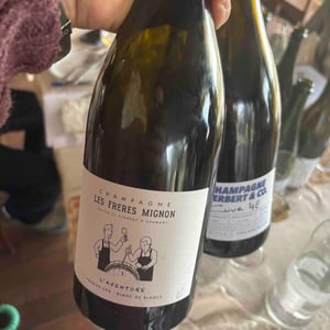 L’aventure - Les Freres Mignon - florent-julien-mignon