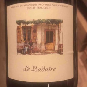 Le Badaïre - Domaine Supply Royer - eric-supply -2022
