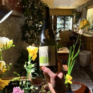 Le Berceau des Fées - Domaine aux Moines - monique-tessa-laroche -2020