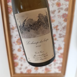 "Le Champs des Loups" - Domaine de l'Apollin - florent-foury -2023