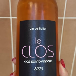 Le Clos Rosé - Clos Saint-Vincent - gio-sergi