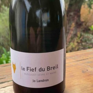 Le Fief du Breil - Domaine Jo Landron - jo-landron
