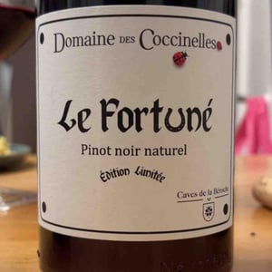 Le Fortuné - Domaine des Coccinelles - pierre-lambert -2024
