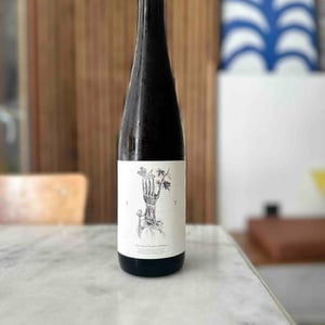 Schiste - Soil Therapy - Les Vins du Mardi - thomas-larmoyer