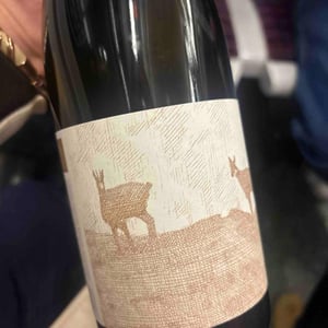 Le hasard et la chance - Domaine De L'Ubac - nicolas-sinoir --