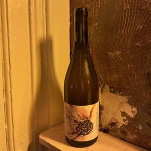 Le Monde De Près - Bonyvresse - clement-bony