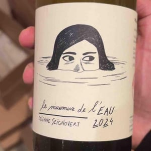Le Murmure de l'Eau - Domaine Etienne Seignovert - Etienne Seignovert