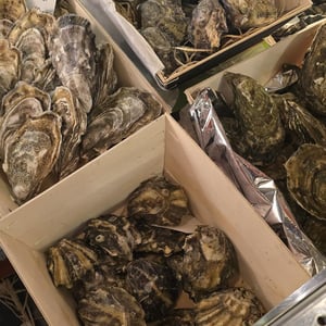 Le Ostriche - Triodinamico - 975027