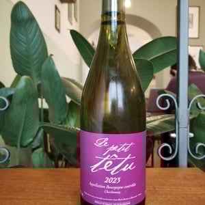 Le Petit Têtu - Jean-Marie Berrux - jean-marie-berrux